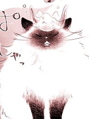 《掌心猫猫》鹰野久创作【连载中】电子漫画下载—–【JPG/PNG/WEBP】高清完整版